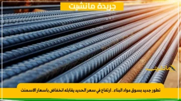 تطور جديد بسوق مواد البناء.. ارتفاع في سعر الحديد يقابله انخفاض بأسعار الأسمنت 1